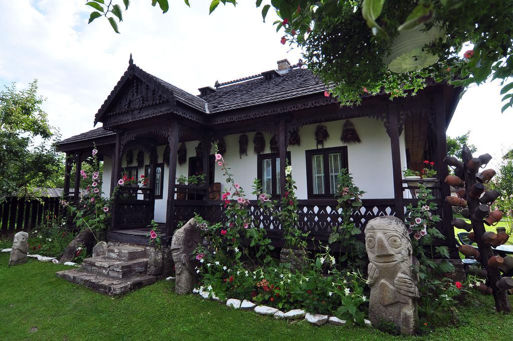 Bed & Breakfast Popamuseum Tarpesti Strada Muzeului Nr 28 Tîrpeşti Zewnętrze zdjęcie