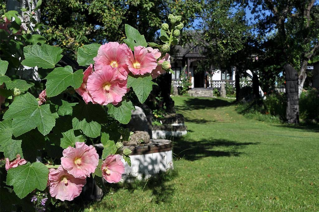 Bed & Breakfast Popamuseum Tarpesti Strada Muzeului Nr 28 Tîrpeşti Zewnętrze zdjęcie